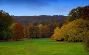Kassel Natur Park Bäume